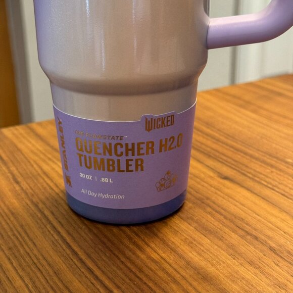 Stanley X Target Exclusive WICKED For Good 2025 40oz ELPHABA and 30 oz Glinda - Picture 8 of 16